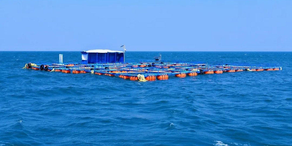 Plate-forme d’essai d’extraction d’uranium en eau de mer de Chine méridionale.
