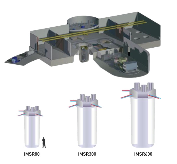 La première tranche IMSR de Terrestrial Energy devrait être mise en service dans les années 2020. Dans la partie supérieure de l’image: une conception possible du réacteur. La puissance thermique d’un module peut varier au choix entre 80 MW et 600 MW.