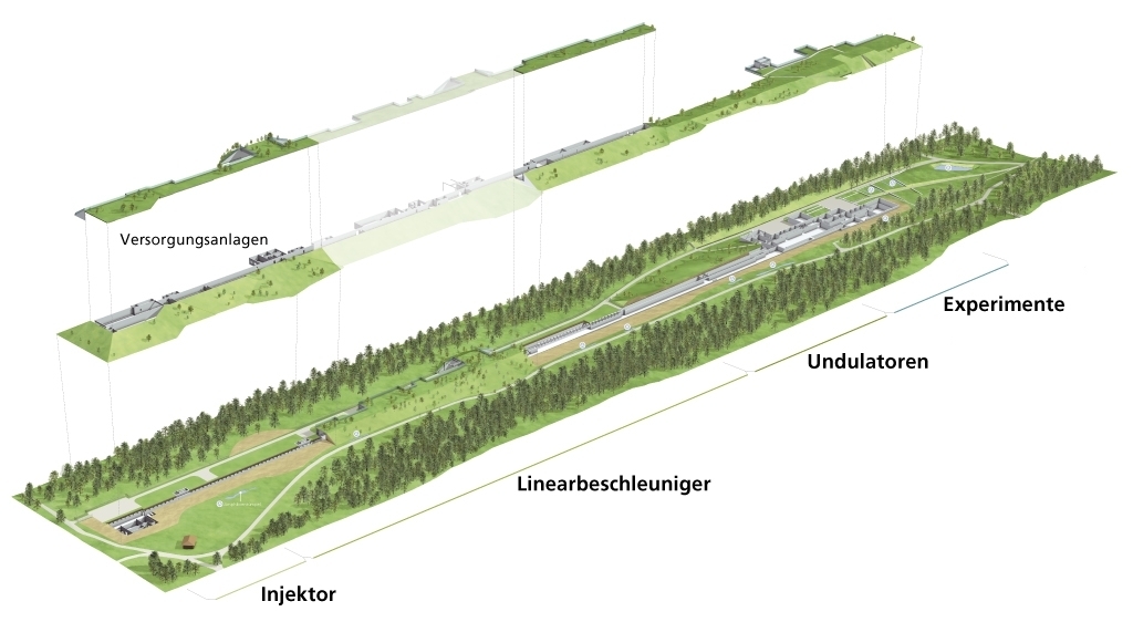 Bis Ende 2014 entsteht im Würenlinger Wald das Gebäude für den SwissFEL, die neue Grossanlage des PSI.