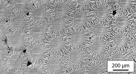 Section transversale du nouveau matériau composite à base de tungstène. La prise de vue microscopique montre les coupes transversales circulaires des filaments de tungstène de l’épaisseur d’un cheveu, insérés dans une matrice de tungstène de manière étanche (densité >95%).