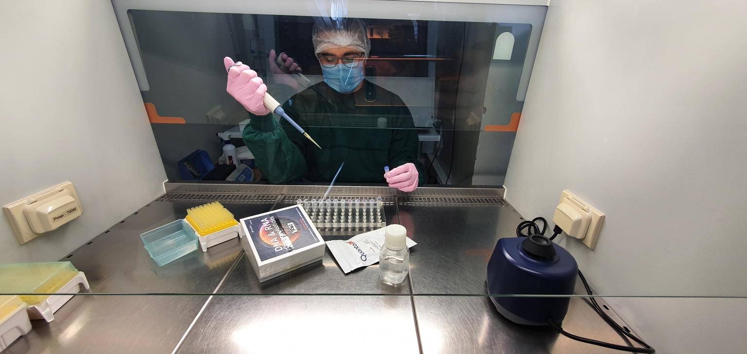 Un kit de test donné par l’AIEA a été envoyé au laboratoire de référence de l’Institut de recherche scientifique en virologie, en Ouzbékistan, en décembre 2020.