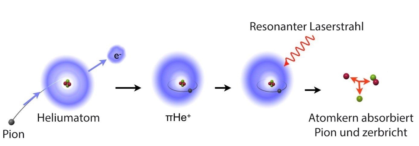 De gauche à droite: Un pion (π) rencontre un atome d’hélium et remplace un des deux électrons de celui-ci. Il en résulte un atome d’hélium pionique (πHe+), dans lequel le pion peut vivre mille fois plus longtemps que dans d’autres types d'atomes pioniques, mais dans certains états quantiques seulement. L’expérience avait pour objectif principal de démontrer l’existence d’un tel atome. Pour ce faire, un rayon laser résonant incite le pion à sauter
