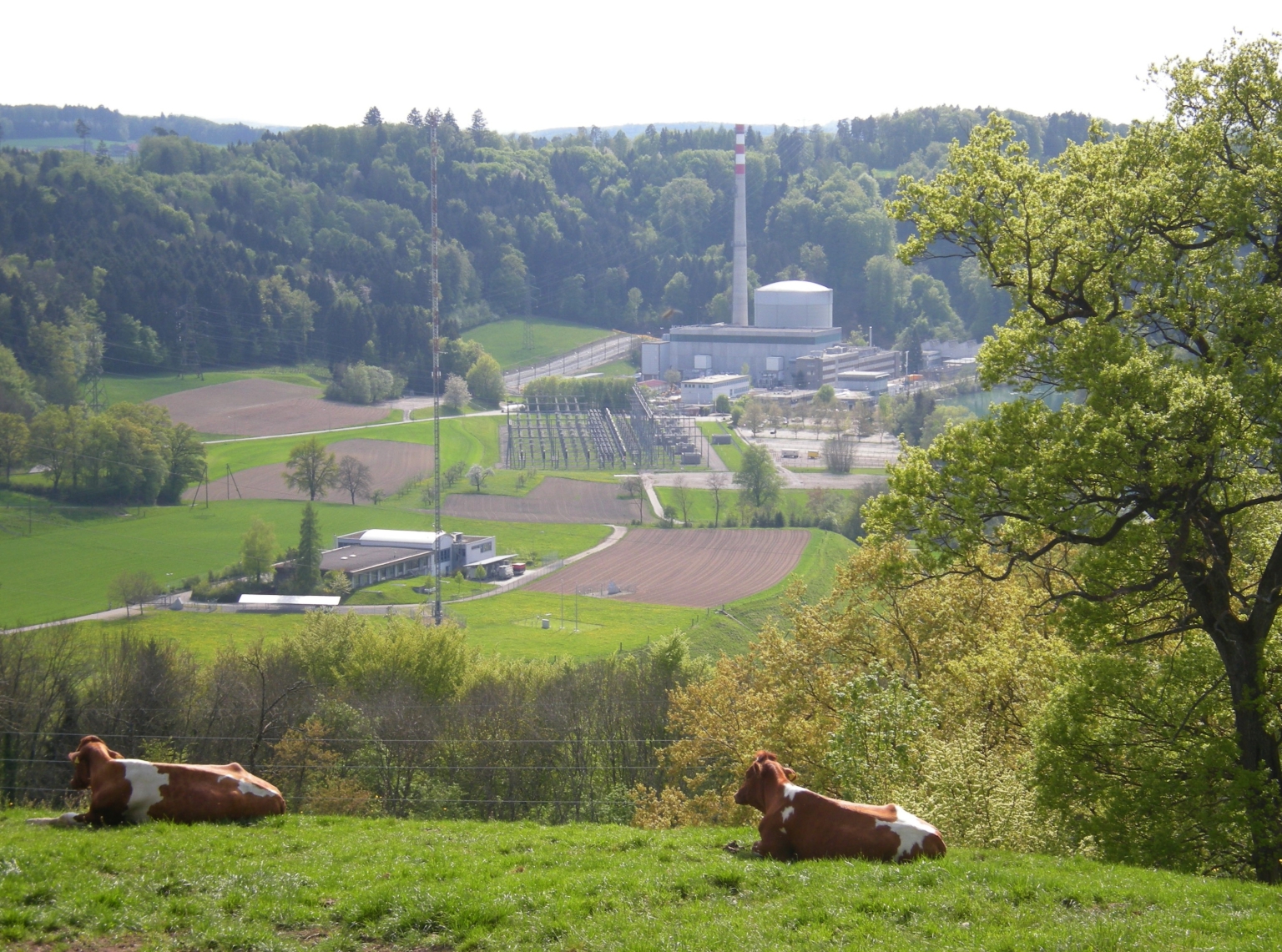 La BKW a déposé une demande de prolongation de l’exploitation à titre préventif ainsi qu’un concept global de maintenance pour sa centrale nucléaire de Mühleberg.